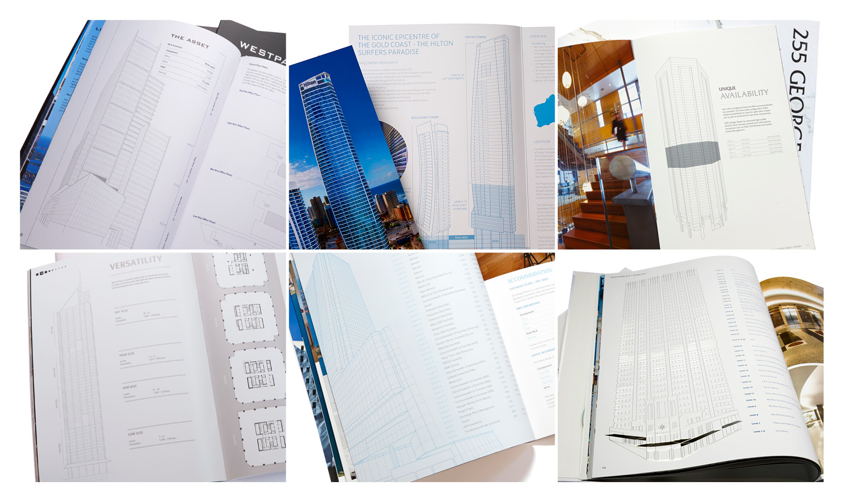 BDG 05Website Illustrations2