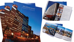 BDG Property Commercial 19