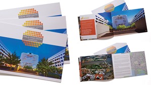 BDG Property Commercial 4